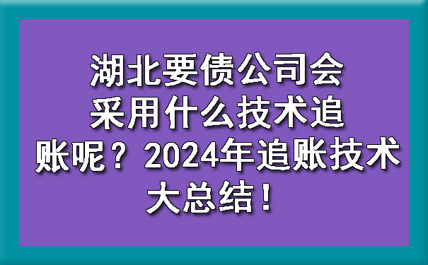 湖北要债公司会采用什么技术追账呢？2024年追账技术大总结！.jpg